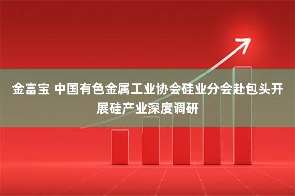 金富宝 中国有色金属工业协会硅业分会赴包头开展硅产业深度调研