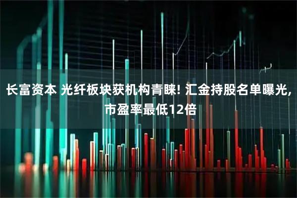 长富资本 光纤板块获机构青睐! 汇金持股名单曝光, 市盈率最低12倍